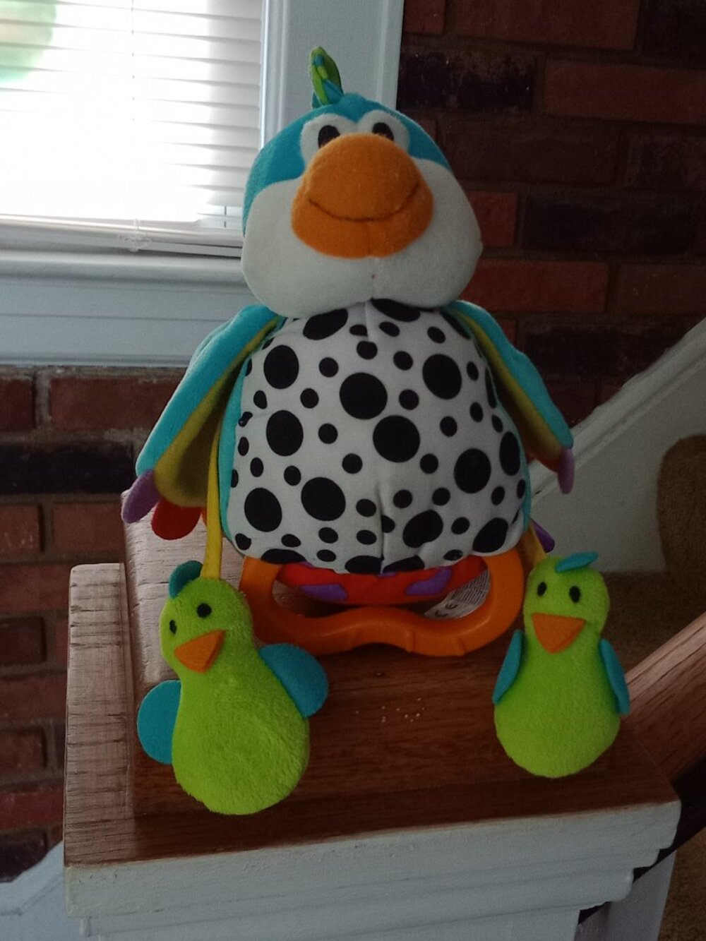 Infant Sensory Toy